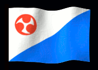 jejuflag